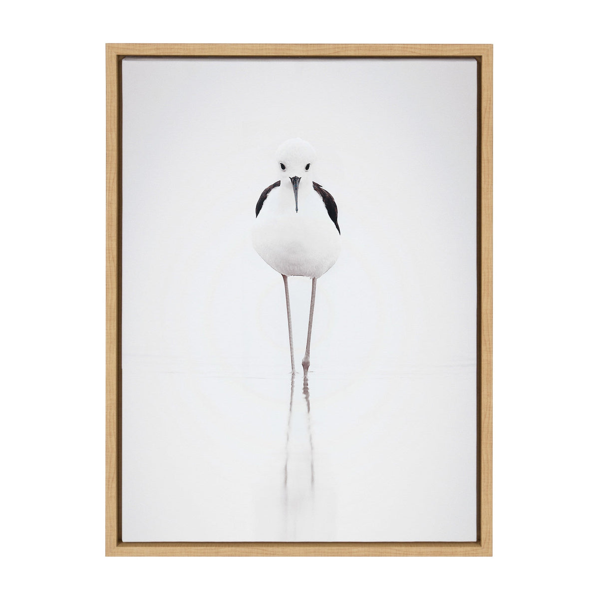 Sylvie Seagull Framed Canvas by Tai Prints