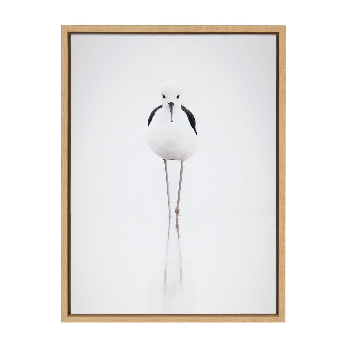 Sylvie Seagull Framed Canvas by Tai Prints