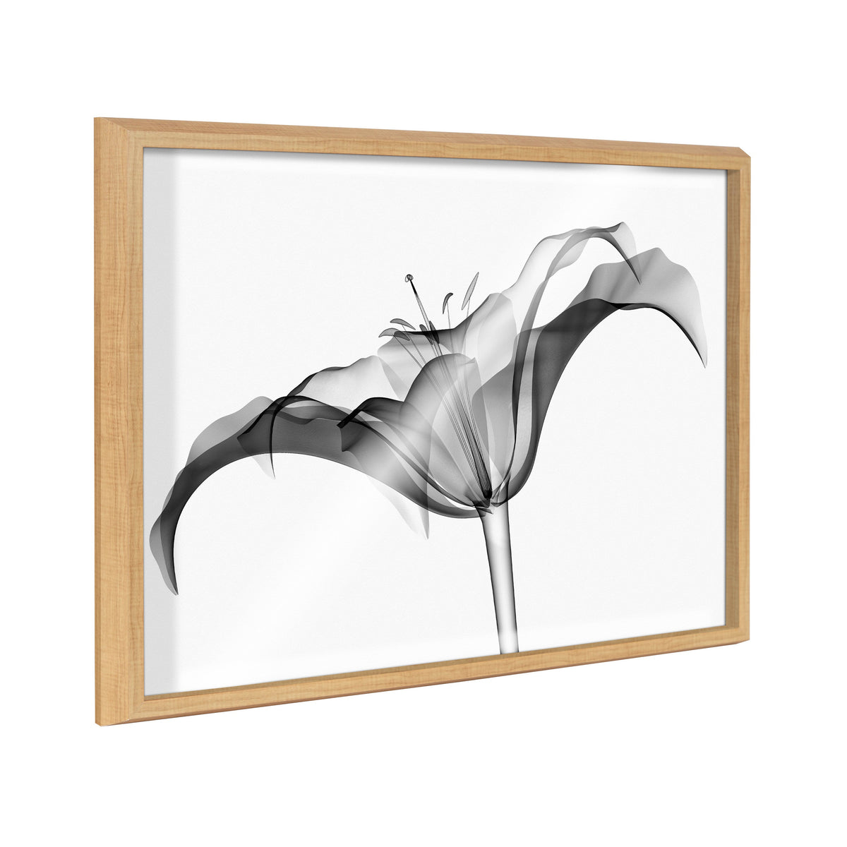 Blake Lily X Ray Floral BW Framed Printed Art by The Creative Bunch Studio