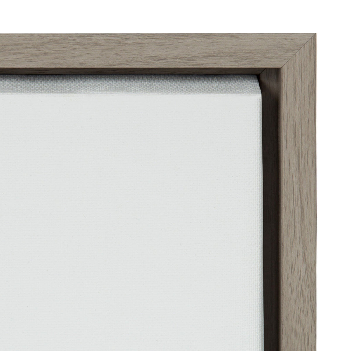 Sylvie Hydrangea Cluster Framed Canvas by Emiko and Mark Franzen of F2Images