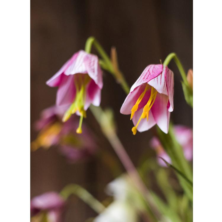 Artificial Silk-Look Fritillaries Lily Flower Stem in Pink or Purple 26" Tall
