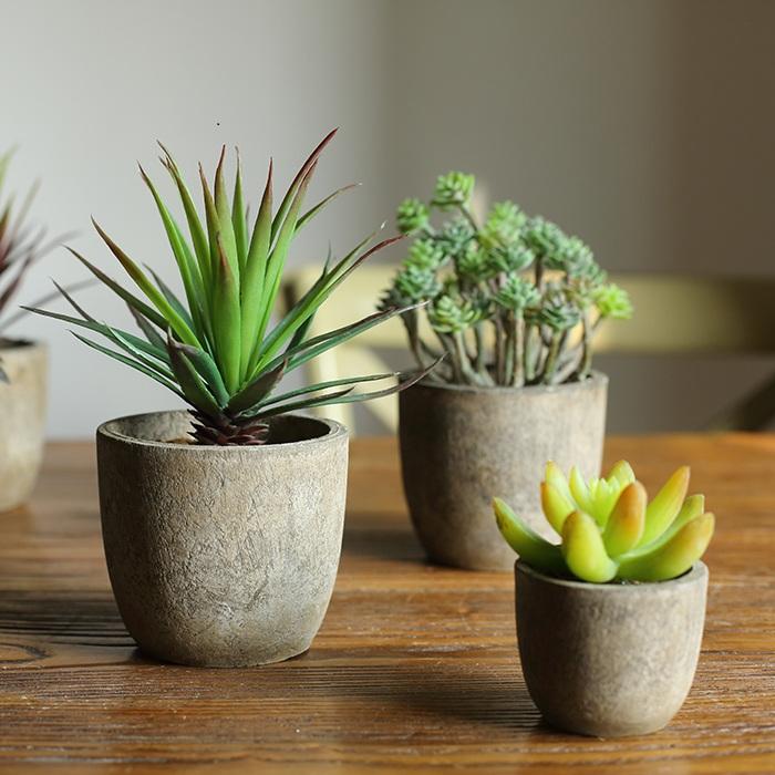 Artificial Potted Succulents, Randomly Selected Set of 5