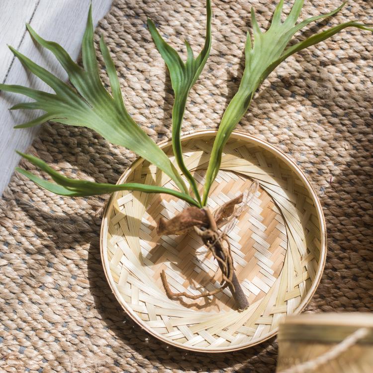 Southeast Asia Round Bamboo Tea Storage Box