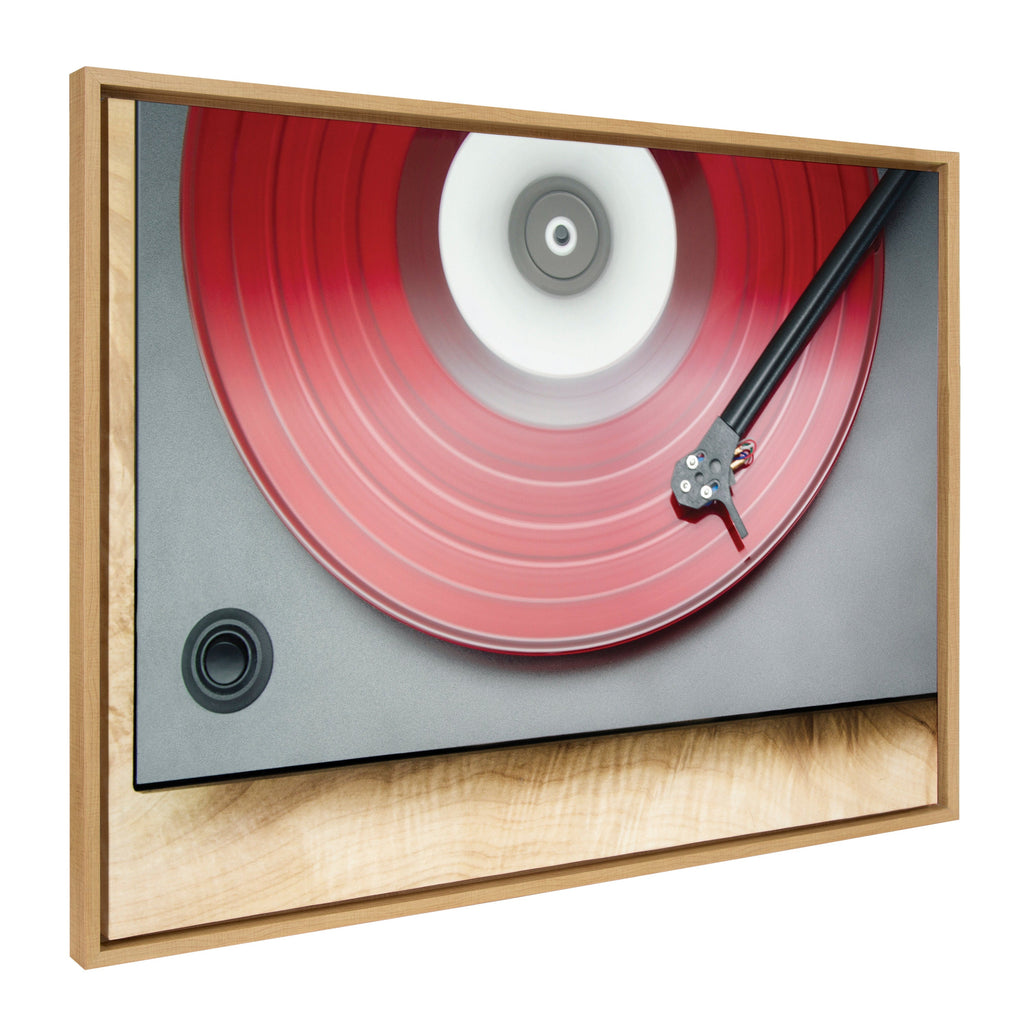 Sylvie Red Vinyl Framed Canvas by Emiko and Mark Franzen of F2Images