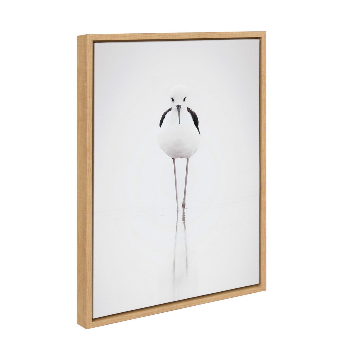 Sylvie Seagull Framed Canvas by Tai Prints