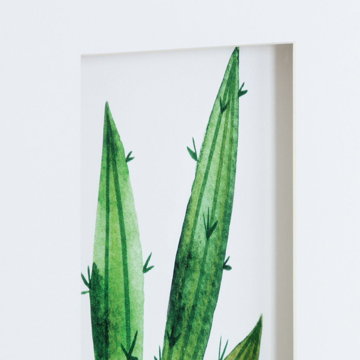 Liev Succulent Framed Print Art Set of 4 by Maja Mitrovic