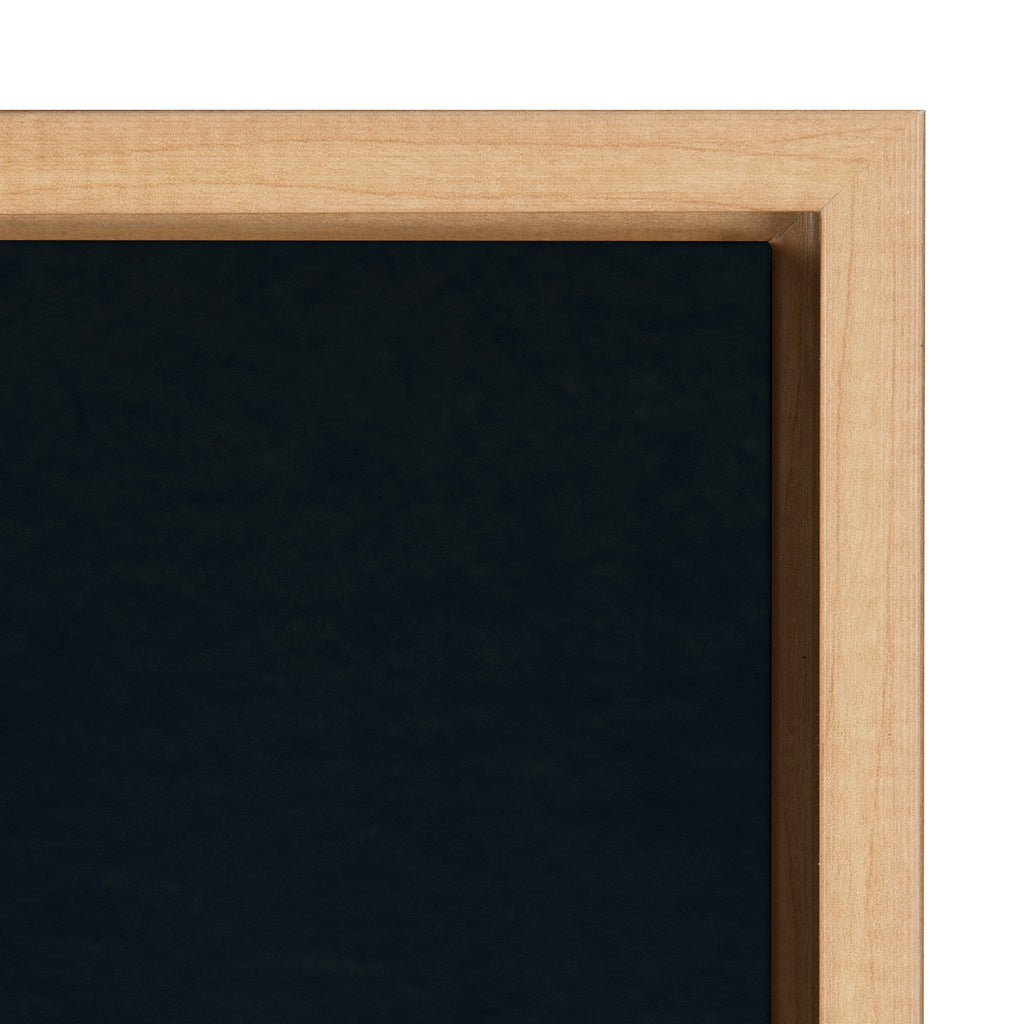 Sylvie Succulent 13 Framed Canvas by F2 Images