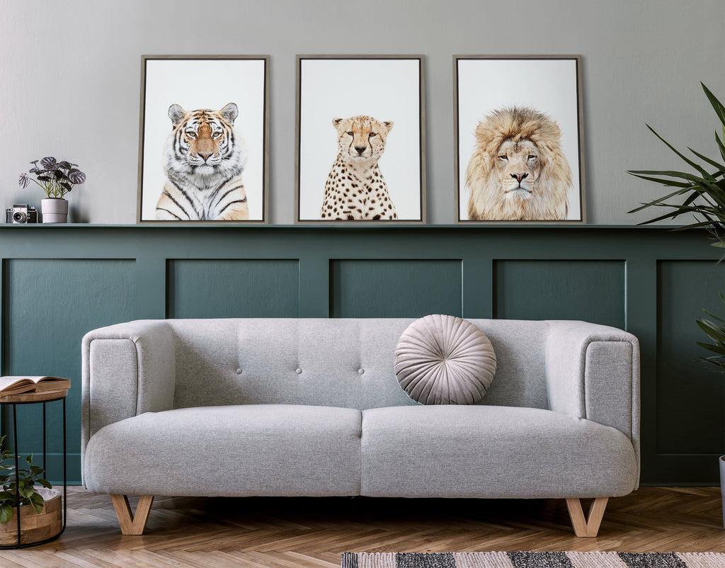 Sylvie Lion Stare Portrait Framed Canvas by Amy Peterson Art Studio