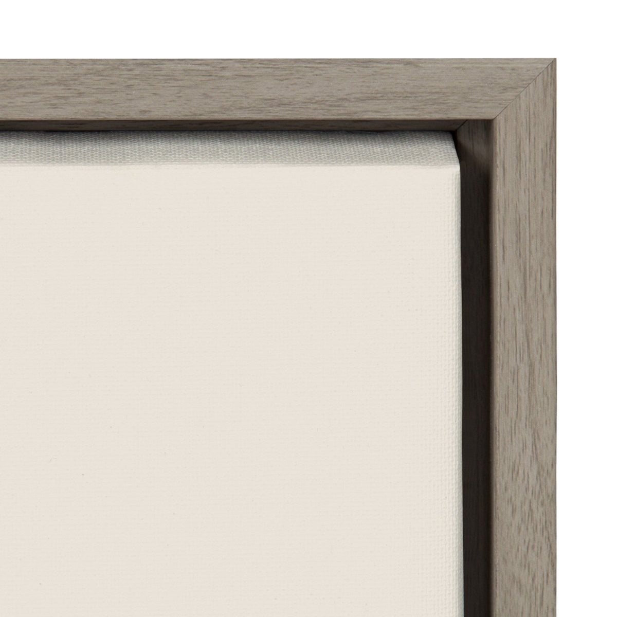 Sylvie Broadhead Framed Canvas by F2Images