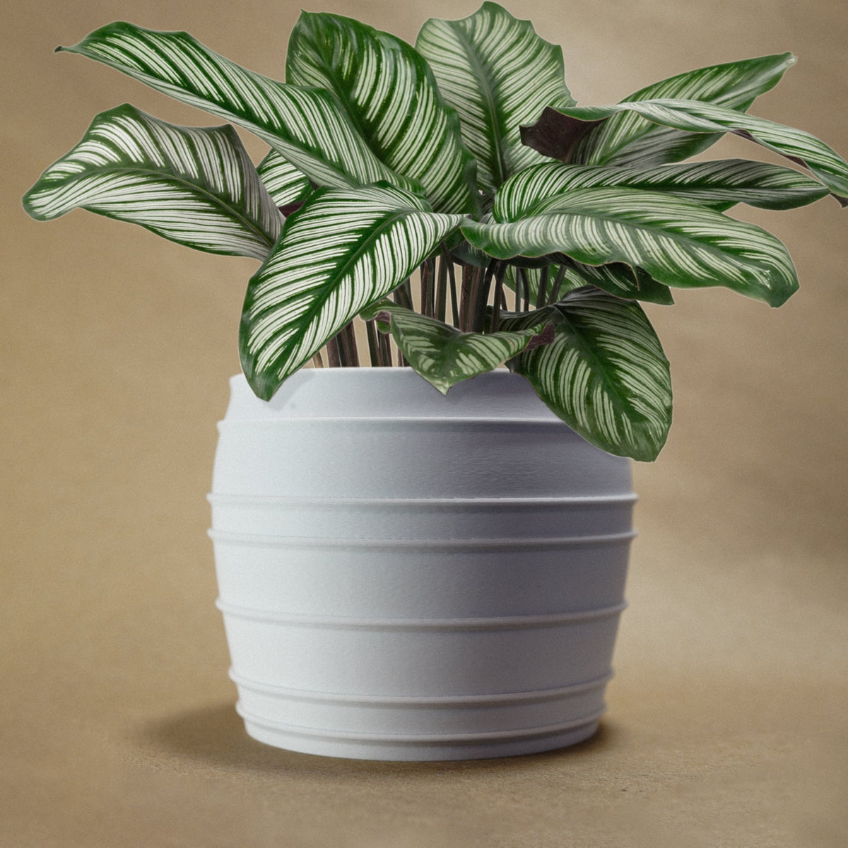 The Vintage Siena Planter