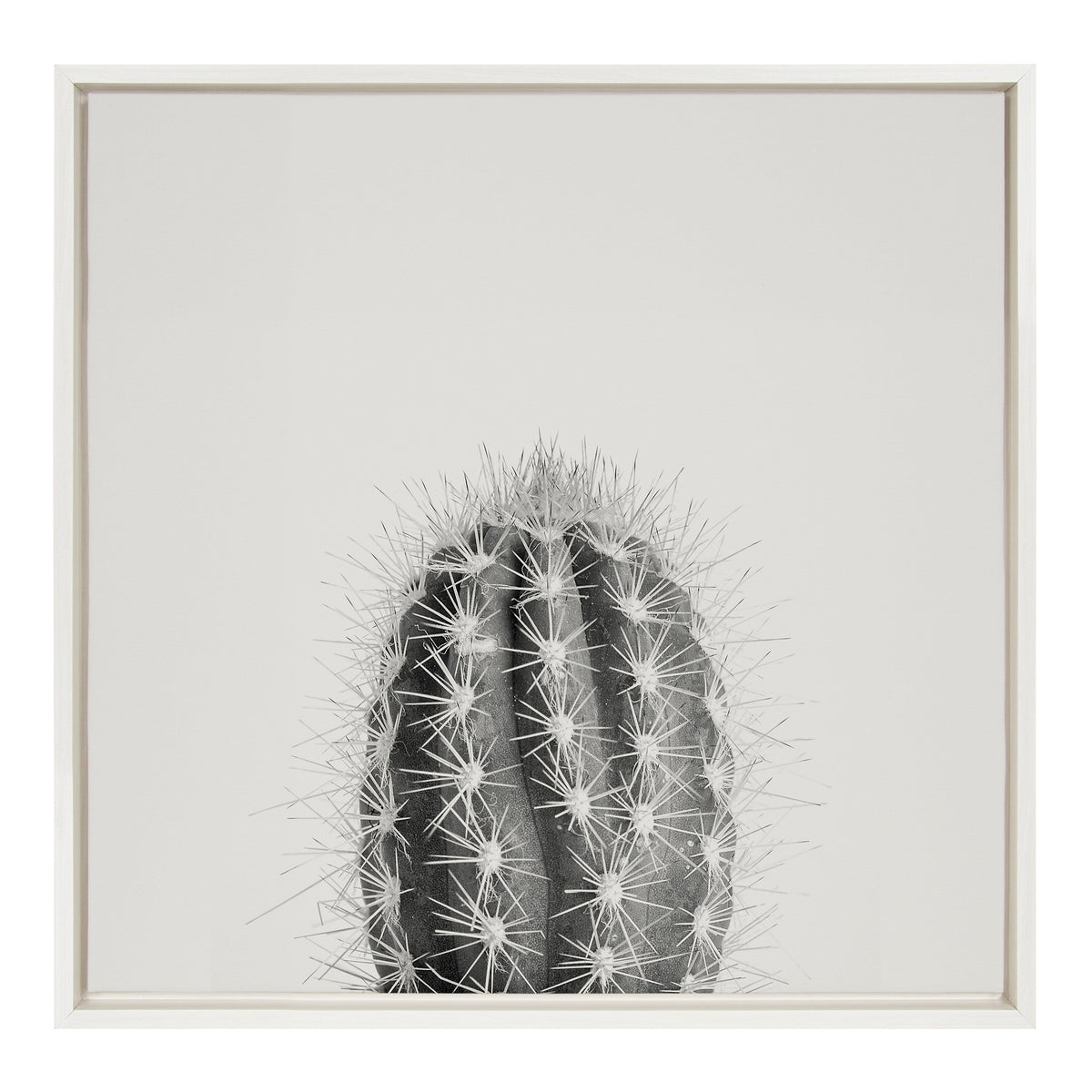 Sylvie Haze Cactus Succulent Tall Framed Canvas by The Creative Bunch Studio