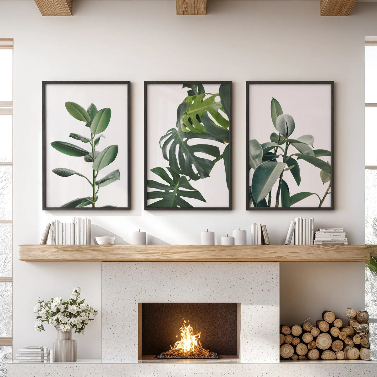 Botanical Set of 3 Prints. Tropical Monstera, Rubber Plant