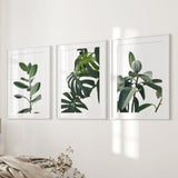 White Frame - w/ mat