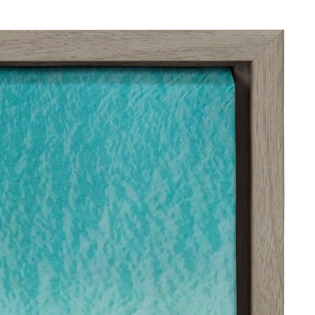 Sylvie Monterosso 6 Framed Canvas Set of 2 by Rachel Bolgov