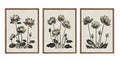 Sylvie Simple Modern Linocut Neutral Lotus Flowers Framed Canvas Art Set by The Creative Bunch Studio