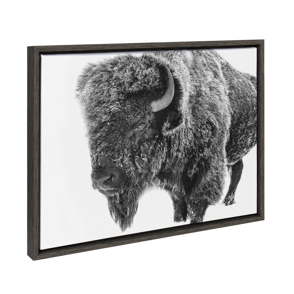 Sylvie Bison in Snow Black and White Framed Canvas by Amy Peterson Art Studio