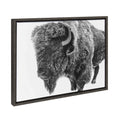 Sylvie Bison in Snow Black and White Framed Canvas by Amy Peterson Art Studio