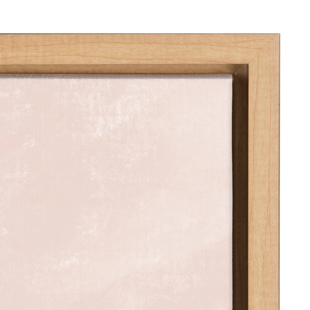 Sylvie Endless Summer Horizontal Framed Canvas by Kate Aurelia Holloway