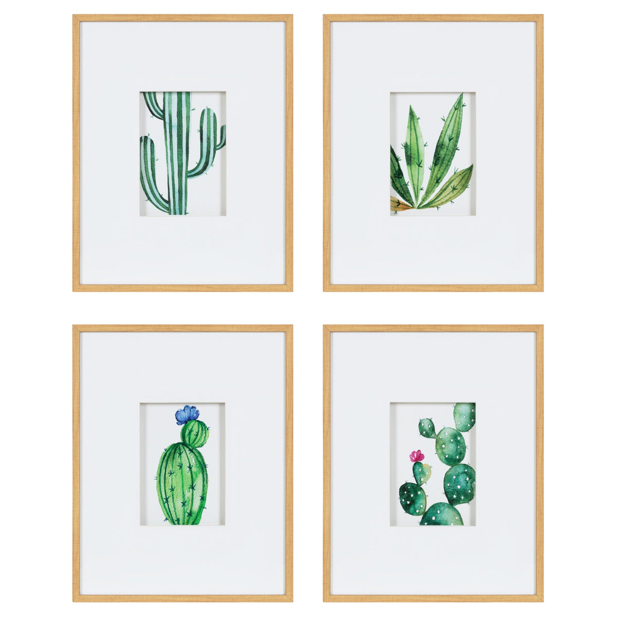 Liev Succulent Framed Print Art Set of 4 by Maja Mitrovic