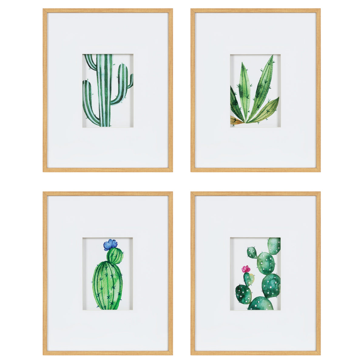 Liev Succulent Framed Print Art Set of 4 by Maja Mitrovic