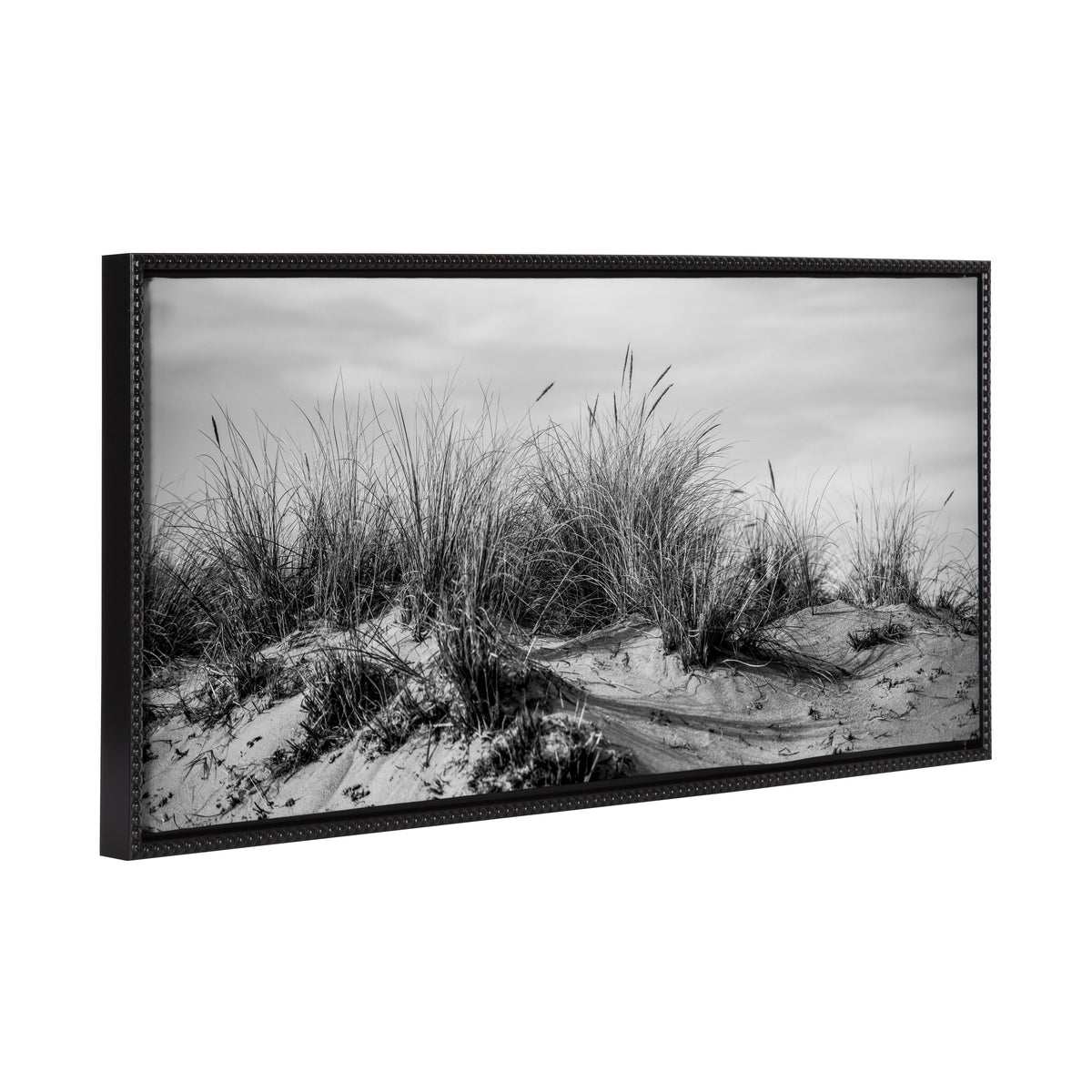 Sylvie Beaded Point Reyes No 4 Black and White Framed Canvas by Crystal Lynn Collins