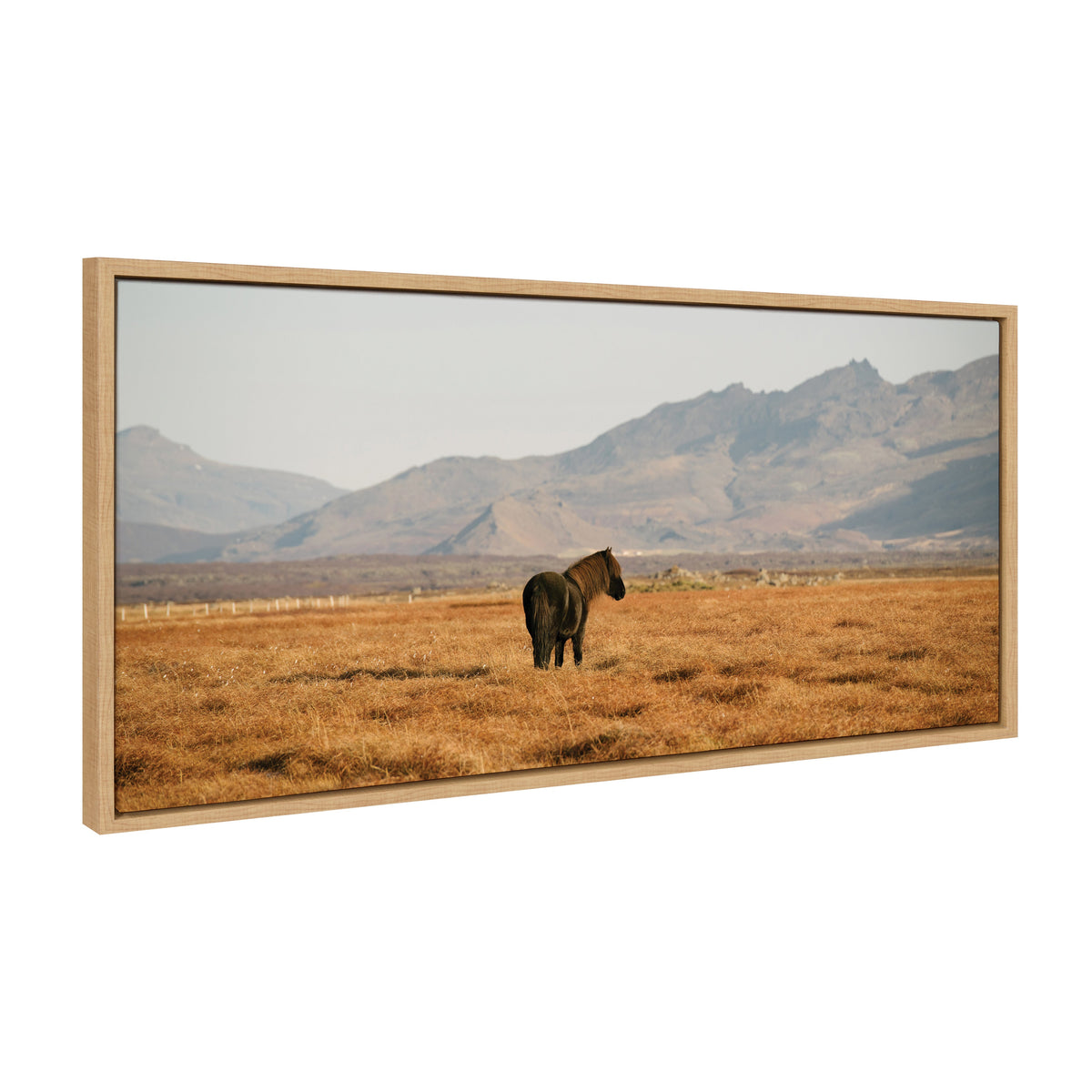 Sylvie Icelandic Horses No 3 Framed Canvas by Crystal Lynn Collins