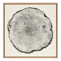Sylvie Tree Rings Linen Framed Canvas by Emiko and Mark Franzen of F2Images