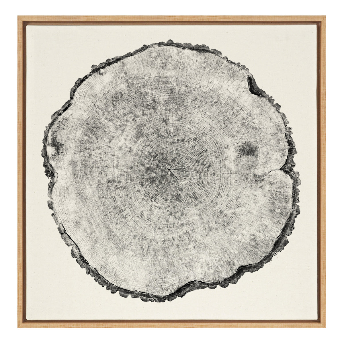 Sylvie Tree Rings Linen Framed Canvas by Emiko and Mark Franzen of F2Images