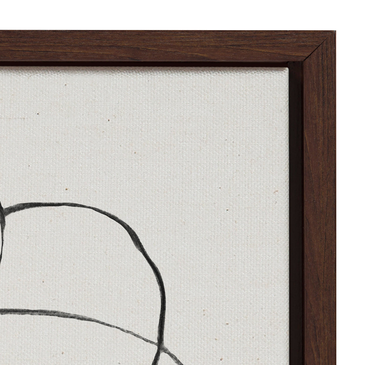 Sylvie Going in Circles Framed Textured Canvas Set of 2 by Teju Reval of SnazzyHues