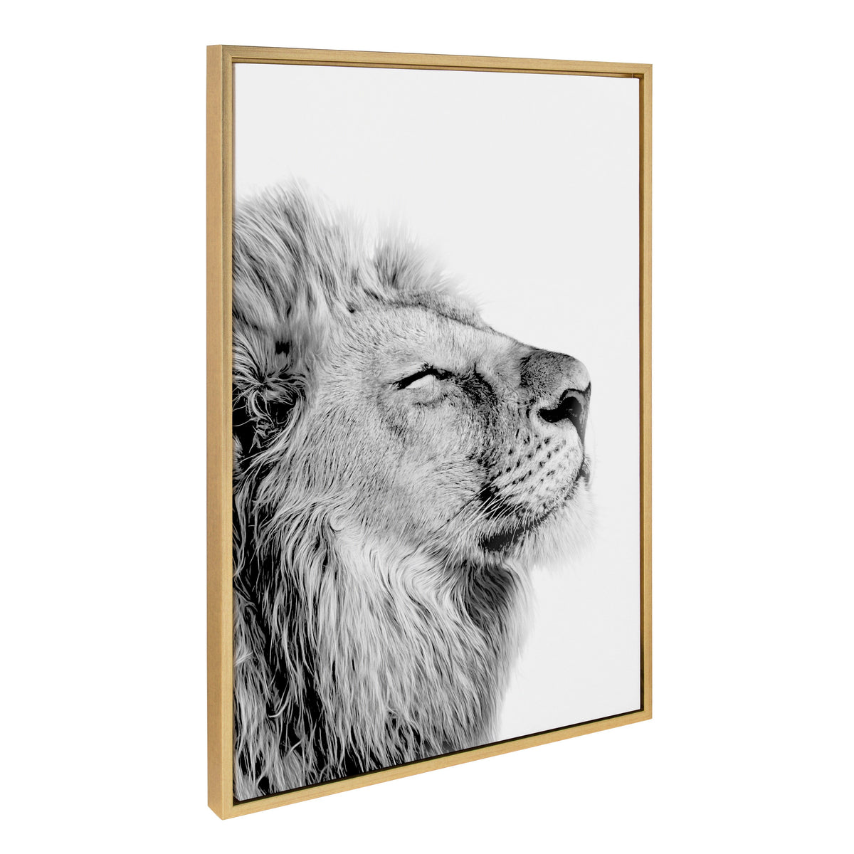 Sylvie Lion Self Actualizing Framed Canvas by Amy Peterson Art Studio