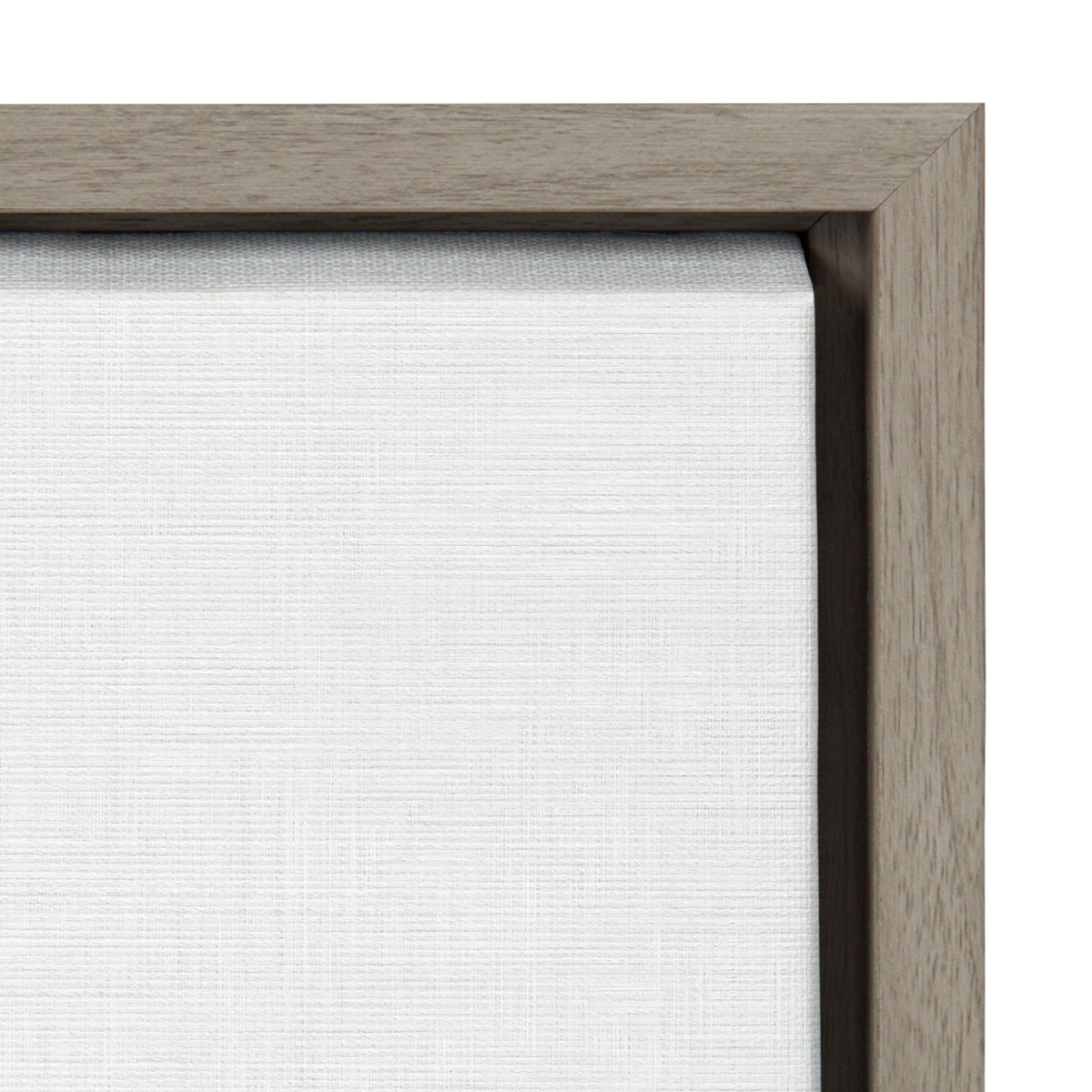 Sylvie Soccer Ball Portrait Framed Canvas, Gray 18x24