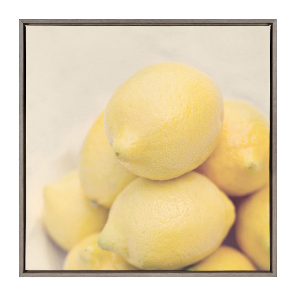 Sylvie Lemons Framed Canvas by Emiko and Mark Franzen of F2Images