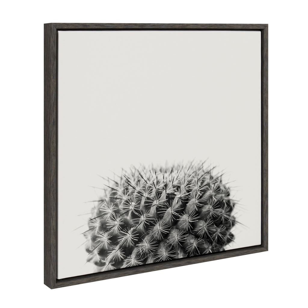 Sylvie Haze Succulent Cactus Short Framed Canvas by The Creative Bunch Studio