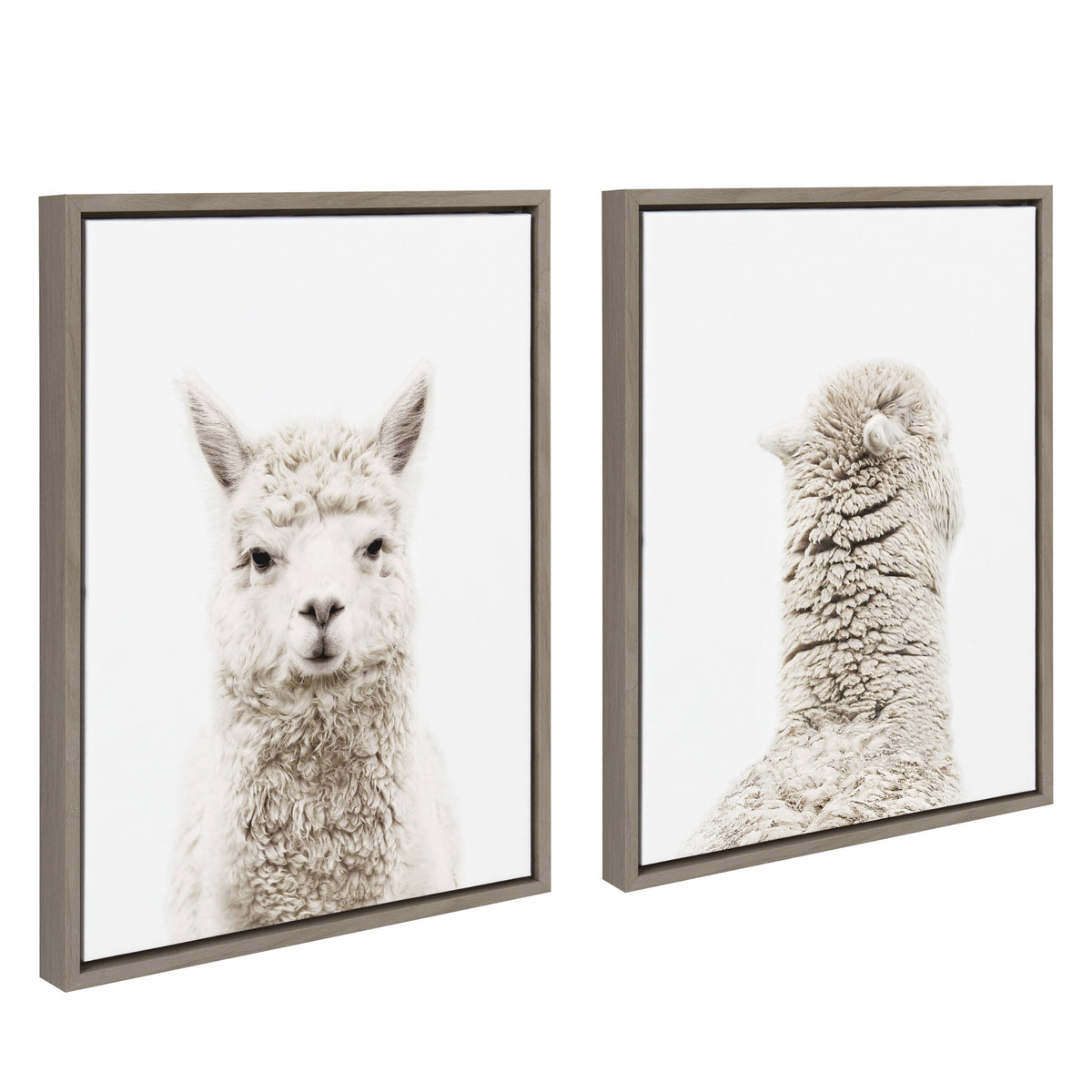 Sylvie Alpaca Front and Alpaca Back Framed Canvas Art Set of 2 by Amy Peterson Art Studio