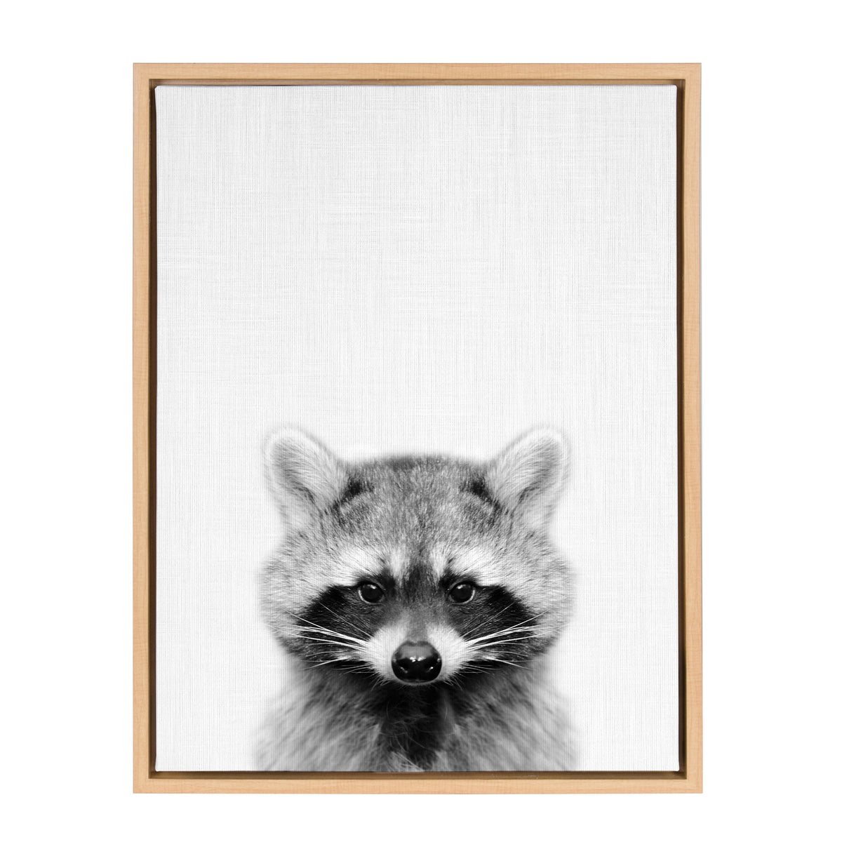 Sylvie Raccoon Framed Canvas by Simon Te Tai