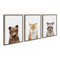 Sylvie Studio Bear, Studio Fox and Studio Raccoon Framed Canvas Set of 3 by Amy Peterson Art Studio