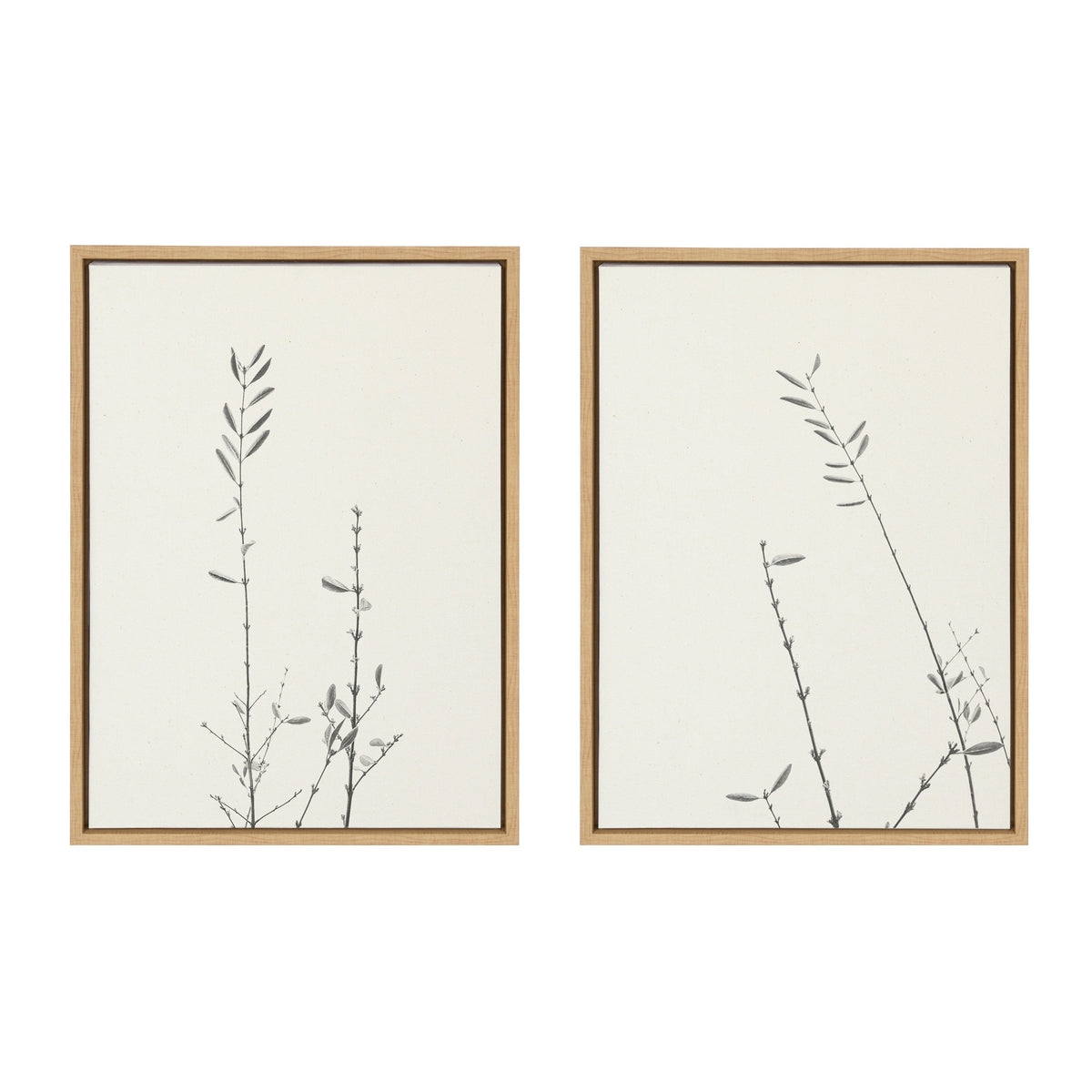 Sylvie Retro Tennessee Botanicals Framed Canvas Set of 2 by Stephanie Klatt