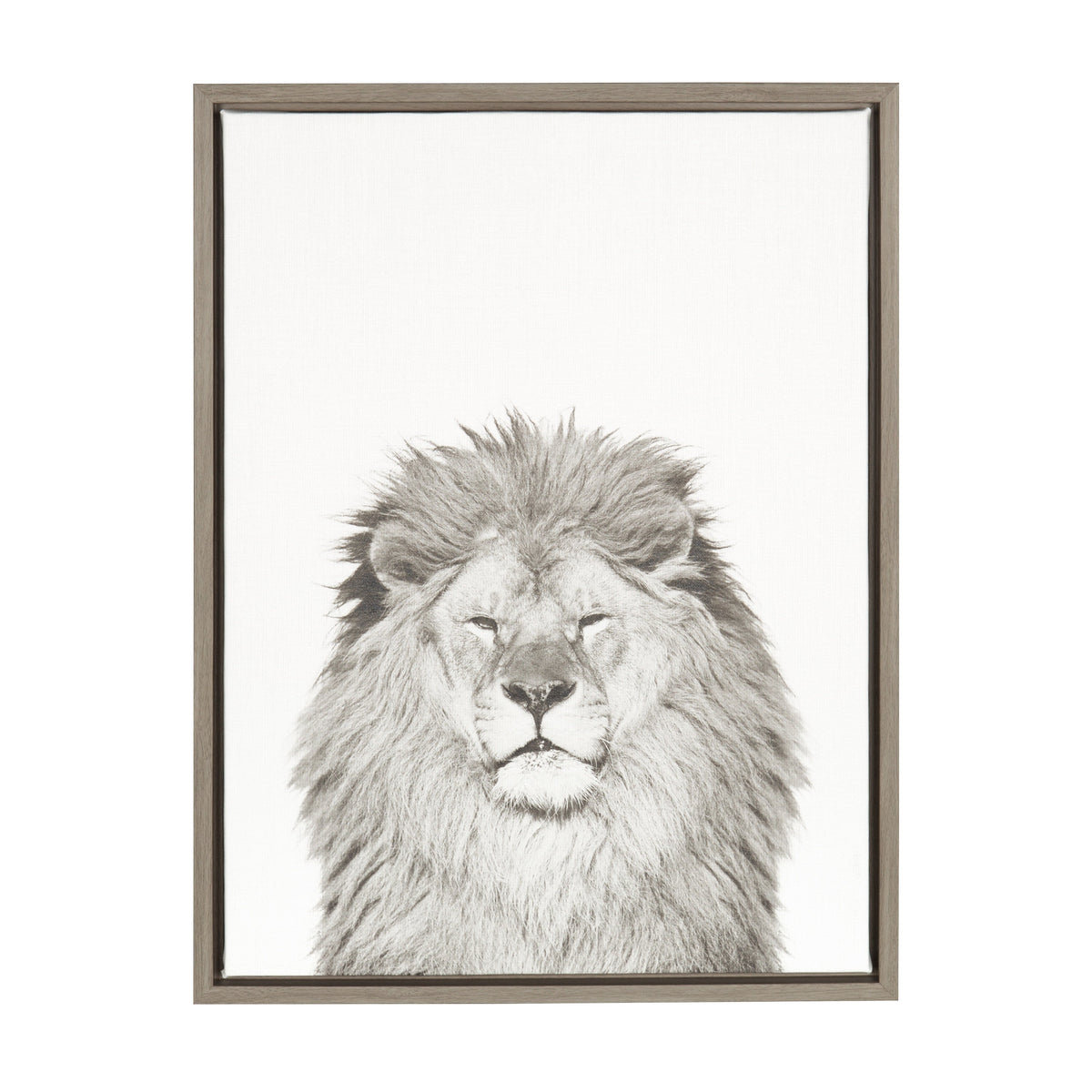 Sylvie Lion Framed Canvas by Simon Te Tai