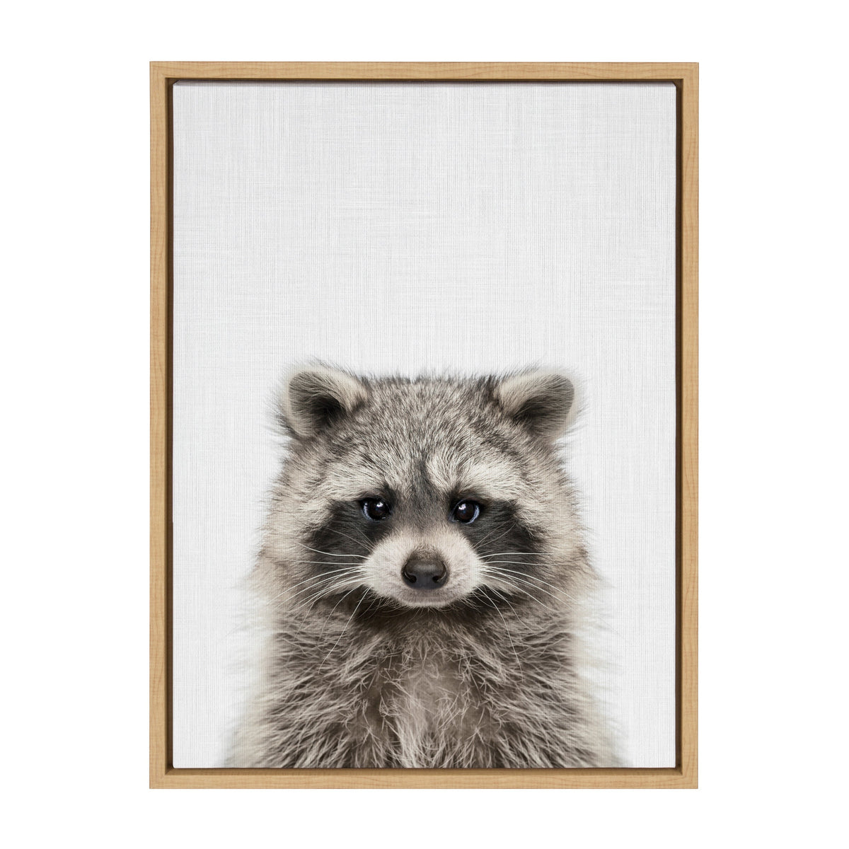 Sylvie Raccoon Color Framed Canvas by Simon Te of Tai Prints